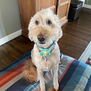 Meet your Posher, Tamra